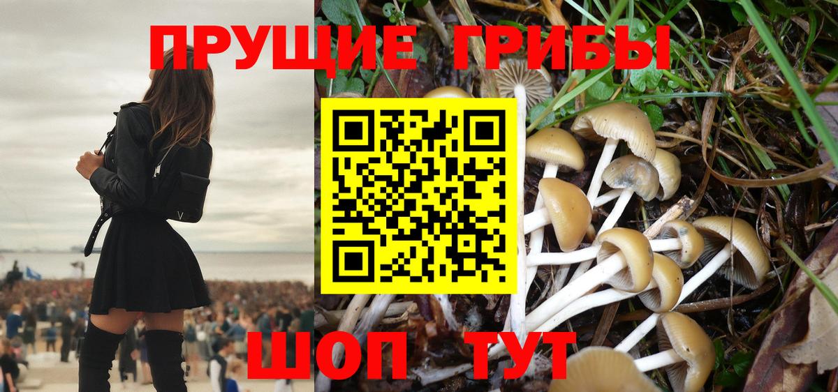 Псилоцибиновые грибы мицелий Кумертау